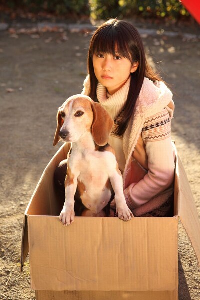 「ミュードラ」のオフィシャルサイトでは、ドラマのダイジェスト映像を配信中。犬に徹する志田未来の熱演は必見だ。