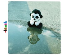 シングル「片思イノ想イカタ」CD盤