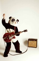 パンダの着ぐるみで心にしみる歌を届けるギターパンダ。「FUJI ROCK FESTIVAL」にも毎年出演している。