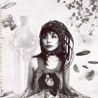 本田ゆかが2010年に発表したソロアルバム「Heart Chamber Phantoms」ジャケット。