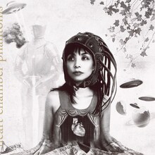 本田ゆかが2010年に発表したソロアルバム「Heart Chamber Phantoms」ジャケット。