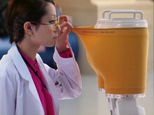 新CMの1シーン。白衣＆メガネ姿でパンツを研究する“カエラ所長”。