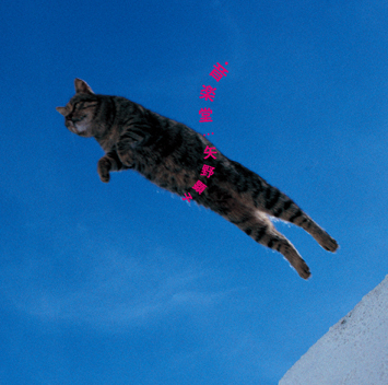 「音楽堂」ジャケット写真。エンジニアの吉野は2006年に脳溢血で倒れたものの、懸命のリハビリで復活。アルバム制作のプランが持ち上がってから3年を経て、念願のレコーディングが実現された。