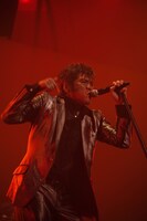 武道館公演では歴代のヒットナンバー15曲を、約30分にわたるノンストップメドレーで披露。ライブDVDにはこの模様も収録される予定だ（写真は2月6日の日本武道館公演より）。