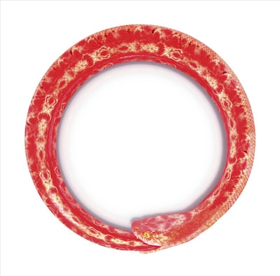 シングル「完全感覚Dreamer」にはタイトル曲のほか「独り言ロンリーナ」「リングワンデルング」を収録（写真は通常盤ジャケット）。