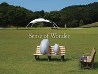 このほかインスタレーションアーティストとして、candle JUNE、D.H. Rosen、MIRRORBOWLERなど9組のアーティストが出演決定。チケットは本日よりプレイガイドでの販売がスタートしている。