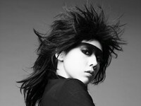 ジャックナイフのように鋭い表情で振り向くゼブラクイーン。