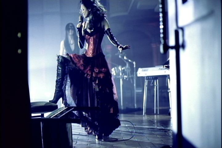 このDVDはLIV MOONが構築する幻の世界がコンセプト（写真はDVD