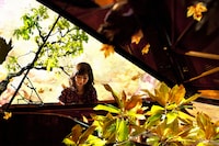 幼少期から養ってきた技術と豊富な音楽理論に加え、クラシックからジャズまで通過した高度な演奏力を持つANAN RYOKO。