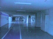 1階コンコースの7つのステージのほか、上階にもステージやクラブスペースが設置される。