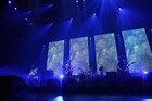 NICO Touches the Walls初武道館ライブで新境地を提示