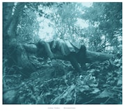 高木正勝作品で知られる女性シンガーのピアノ弾き語りCD