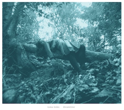 高木正勝が写真を撮影した「dreamtime」のジャケット。