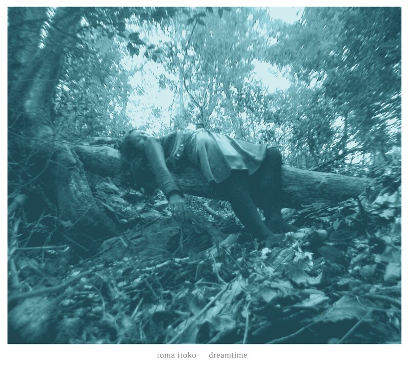 高木正勝が写真を撮影した「dreamtime」のジャケット。