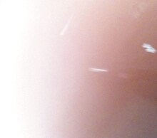 サニーデイ・サービス「本日は晴天なり」ジャケット