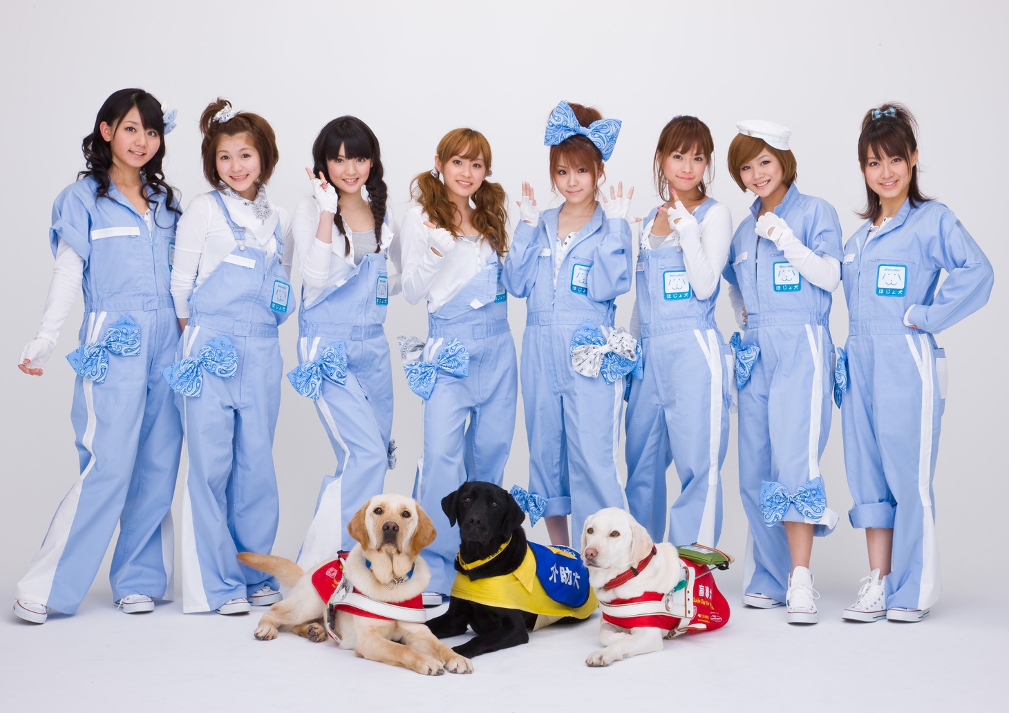補助犬スペシャルサポーターに任命されたモーニング娘。のメンバーと補助犬たち。
