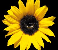 シングル「サヨナラホームラン」ジャケット。