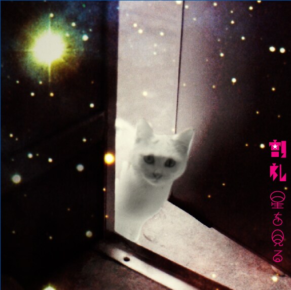 扉のすきまから白い猫が覗く「星を見る」のジャケット。