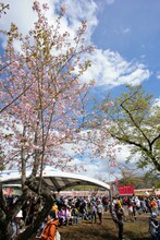 「ARABAKI ROCK FEST.10」は5月1日・2日の2日間にわたり開催（写真は昨年の「ARABAKI ROCK FEST.09」より）。