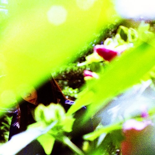 アルバム「ある春の恋人」のジャケット。