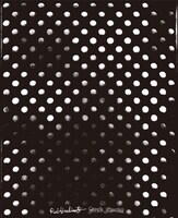 写真集「SOUND SHOOTER」表紙。題字はホリエアツシが手がけている。