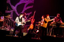 東京スカパラダイスオーケストラ