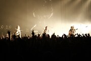 THE BACK HORNは7月にひさしぶりのホールワンマンライブを横浜と大阪で開催する。