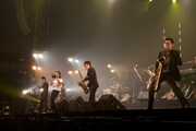 20年の歴史を振り返るセットリストで展開された国技館ライブと対照的に、「今のスカパラ」を象徴する内容となった体育館ライブ。新曲を中心としながらレアなナンバーも披露され、新旧各世代のファンを楽しませた。