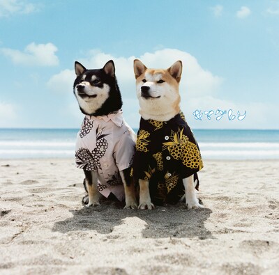 「リメンバー」ジャケット写真。