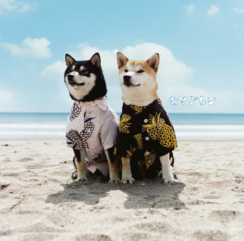 「リメンバー」ジャケット写真。