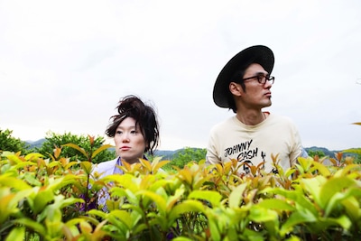 夏のワンマンライブのチケットは、一般発売に先駆けてオフィシャルサイトにて先行予約を実施する。