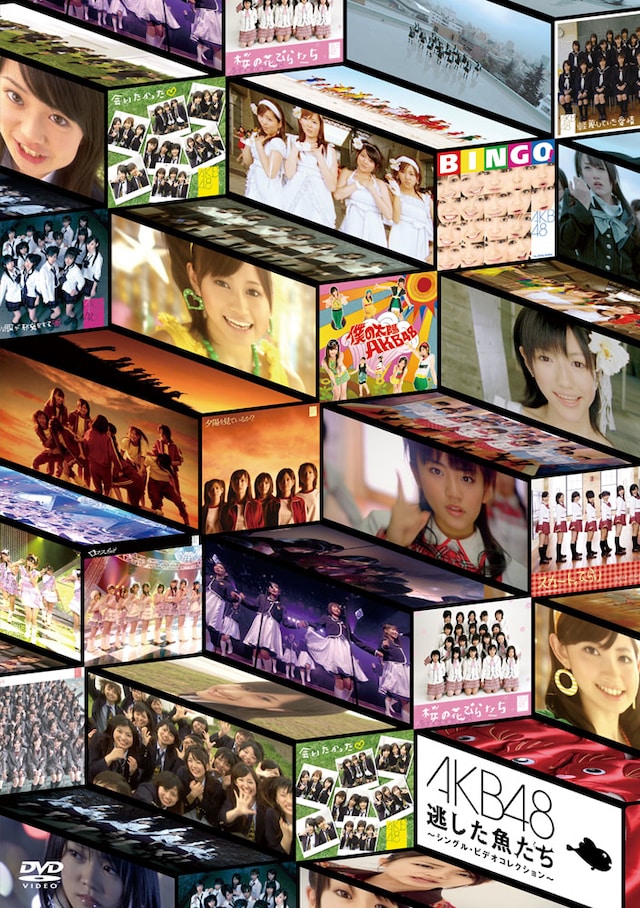 DVD「逃した魚たち～シングル・ビデオコレクション～」通常盤のジャケット（写真）は、シングルのジャケットとPV映像を用いたデザイン。