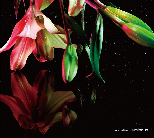 写真はアルバム「Luminous」のジャケット。