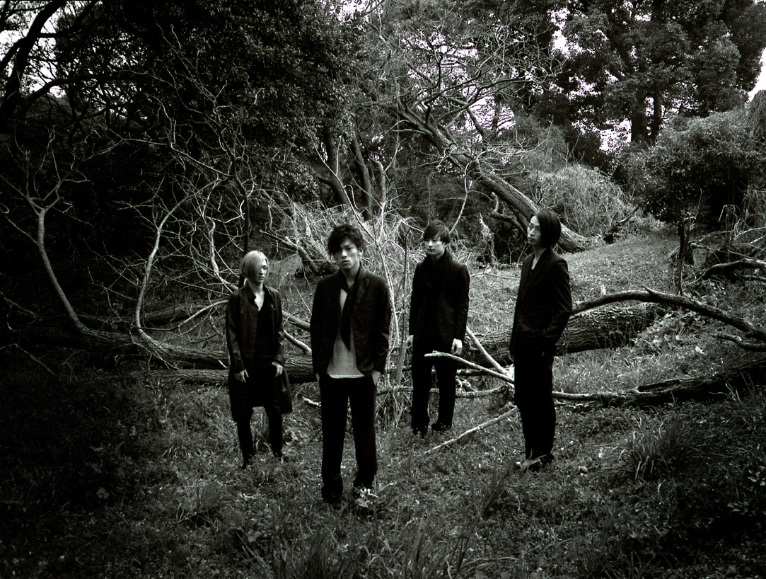 Lillies and Remains