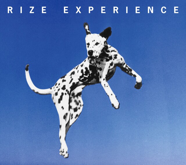 アルバム「EXPERIENCE」の目印は跳躍するダルメシアン。