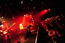 写真は6月11日の「WEAVER virgin tour 2010『We are WEAVER～Portrait in Light～』」渋谷CLUB QUATTRO公演より。