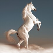 HiGE新作を民生、土屋、川西、RIZE金子が強力サポート