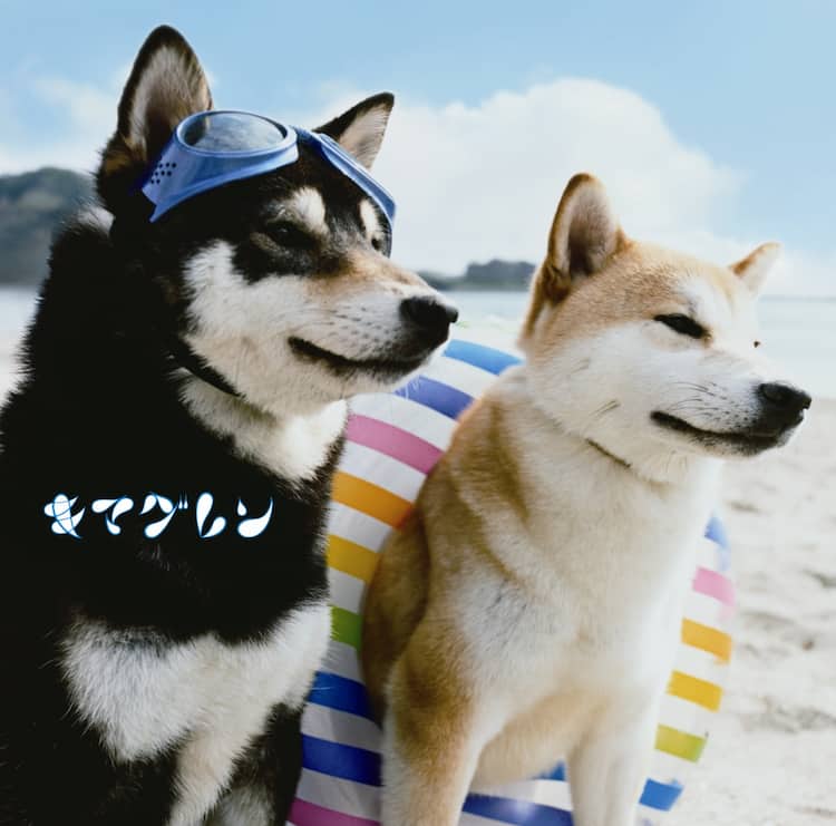 キマグレン3rdアルバムはシングルに続く 犬ジャケ 音楽ナタリー