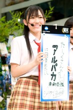 渡辺麻友の願いごとは「たーっくさんのアルパカに囲まれたい」。