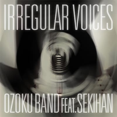アルバム「『IRREGULAR VOICES』feat 赤飯」ジャケット。