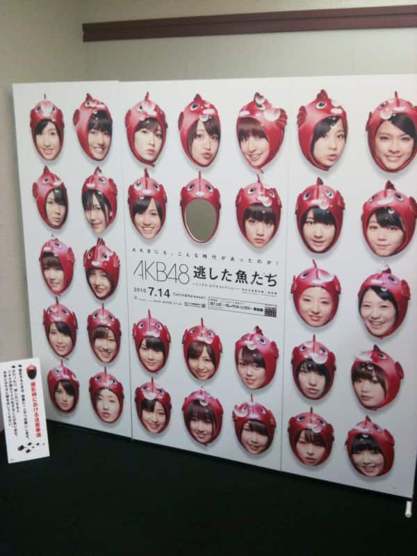 逃した魚 に仲間入り Akb48顔はめパネルが登場 音楽ナタリー