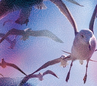 「CRUISE」ジャケット写真。同じ8月18日には「WIRE10」のコンピレーションアルバムもリリースされる。