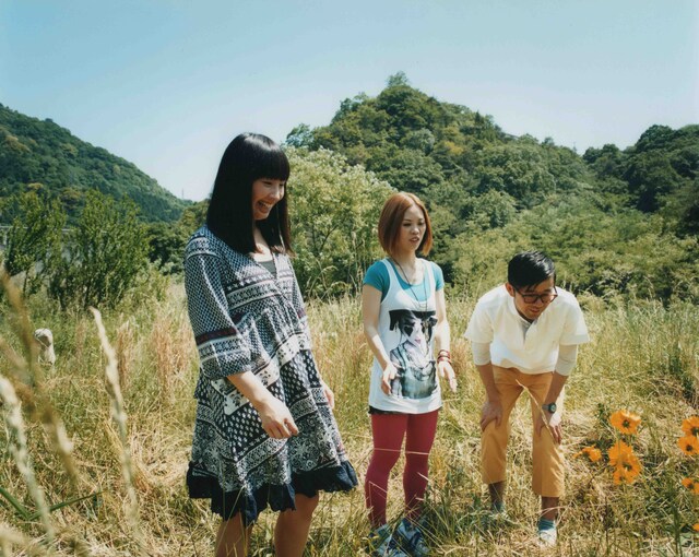 MASS OF THE FERMENTING DREGS