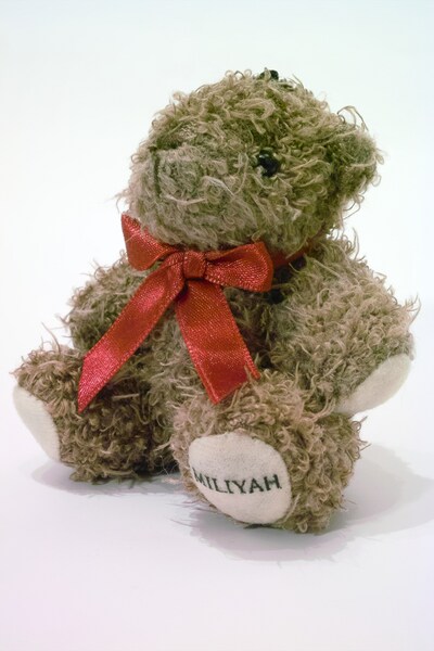 今までに2バージョンのデザインが販売された「ミリヤっくま」。