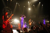 来年は10周年を迎える「GG」。アニバーサリーイヤーにふさわしい内容を企画しているとのことだ（写真はDragon Ash）。