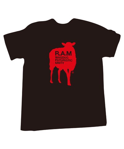 新曲「DISCOLOR」がダウンロードできるQRコードがプリントされた「MUSIC Tシャツ」。