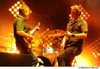 THEM CROOKED VULTURES