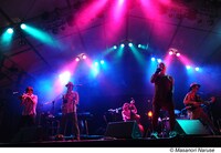 EGO-WRAPPIN' AND THE GOSSIP OF JAXX