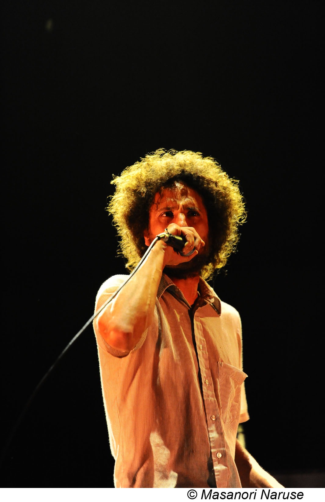 ONE DAY AS A LION