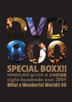 写真は「DVD800 SPECIAL BOXX!!」ジャケット。収録時間は2枚合わせて4時間12分となる。
